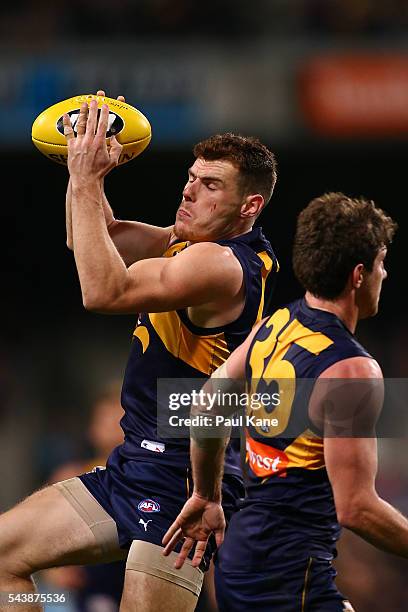 Luke Shuey of the Eagles marks the ball during the round 15 AFL match between the West Coast Eagles and the Essendon Bombers at Domain Stadium on...