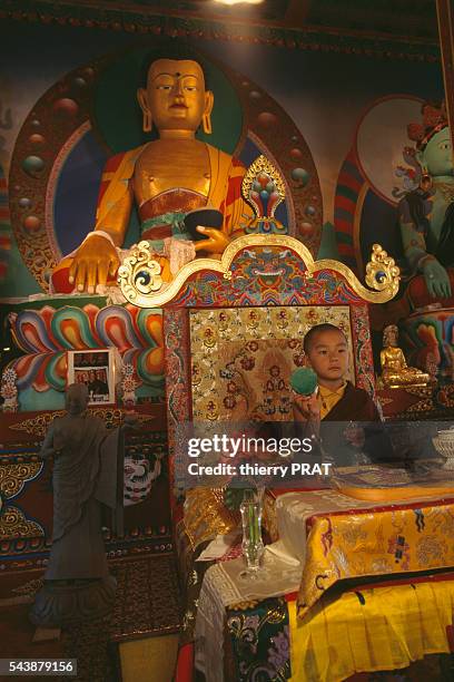Kalu Rind Kalu Rinpoche Photos and Premium High Res Pictures - Getty Images