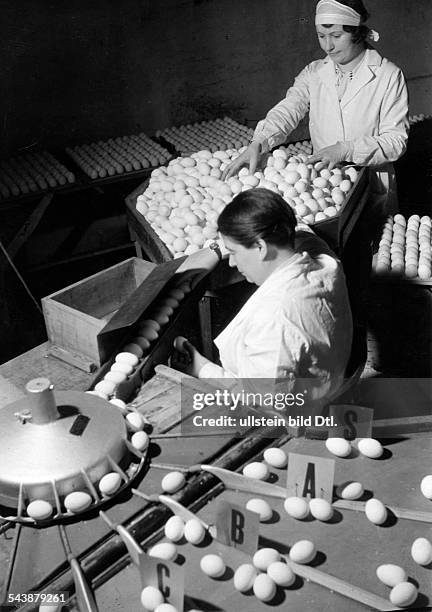 German Empire: woman working at the 'Kontroll- und Kennzeichnungsstelle' for eggs - Photographer: Max Ehlert- Published by: 'Das Blatt der Hausfrau'...