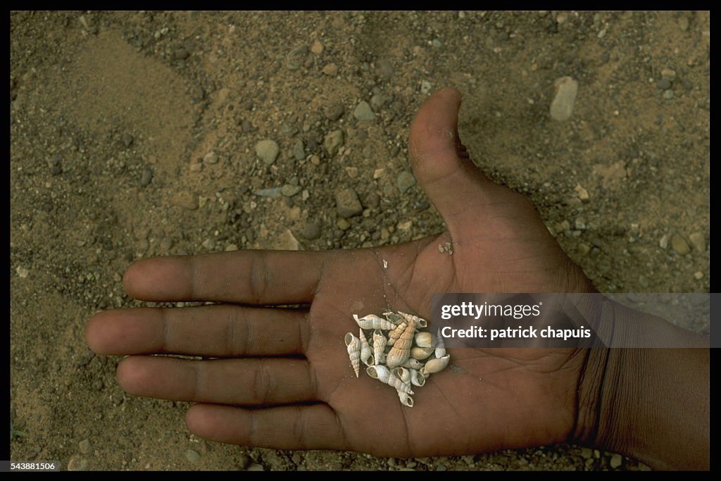 Theodore Monod's Expedition to the "Richat"