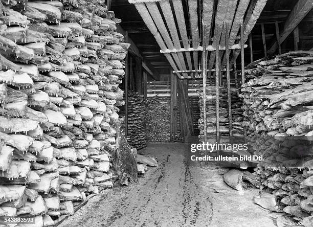 Washington Bundesstaat State - : Spokane Street Terminal - frozen halibut and salmon in cold storage - Photographer: Walter P. Miller- Published by:...