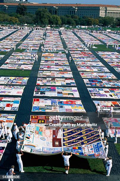 Memorial quilt on the National Mall lawn; 20,000 quilts are displayed.