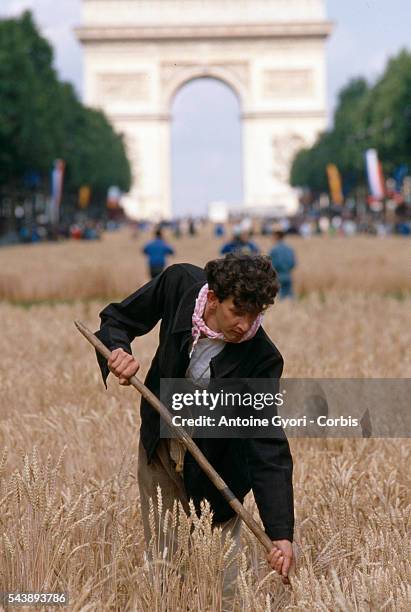 Harvester cuts wheat on a wheat field on Avenue des Champs-Elysees, the main street in Paris, during a one-day harvest festival. The Arc de Triomphe...