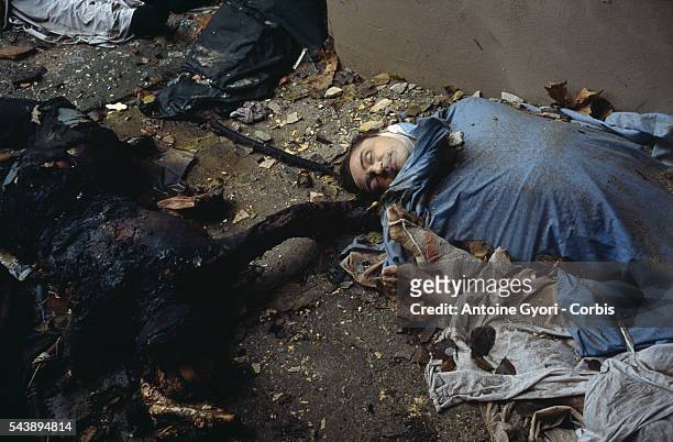 Corpses of civilians lie in the deserted streets of Vukovar after a three-month battle between the Croatian armed forces and the Yugoslavian Federal...