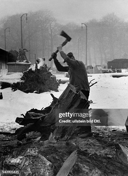 Germany Free State Prussia Berlin Berlin-Tiergarten: Logging at Tiergarten - Photographer: Herbert Hoffmann- 1937Vintage property of ullstein bild