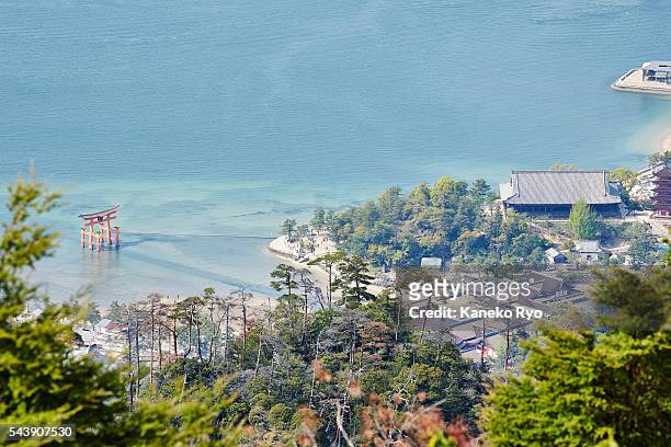 miyajima - 厳島神社 ストックフォトと画像
