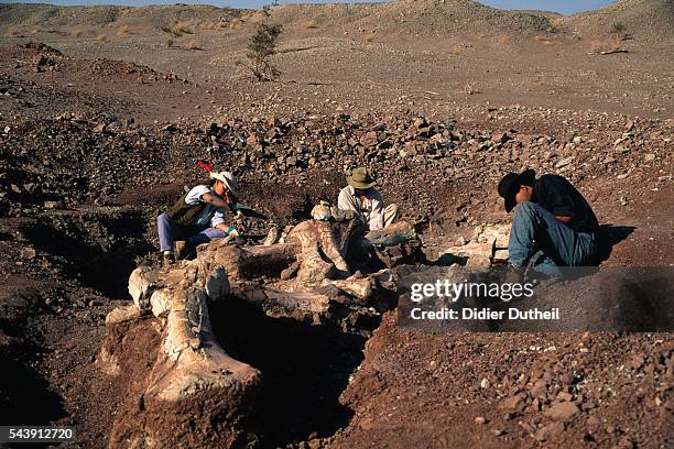 Archaeological dig in Niger.