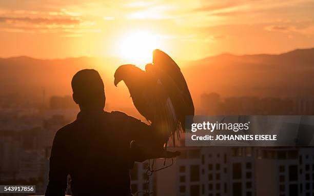 Mongolian tourist poses with an eagle overlooking Ulan Bator on June 30, 2016. A landslide election victory by Mongolia's opposition is a stinging...