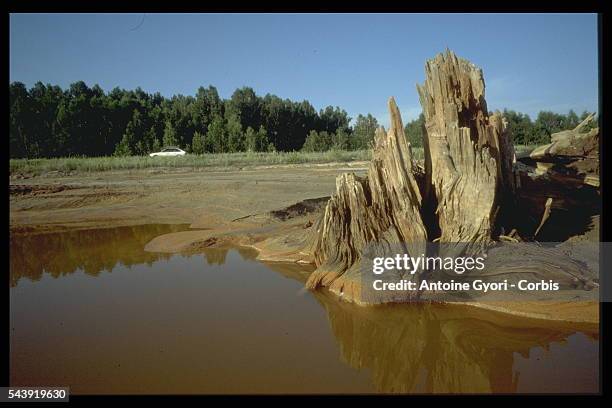 The lake-side banks near the copper foundry. The soil is poisoned by lead, arsenic...