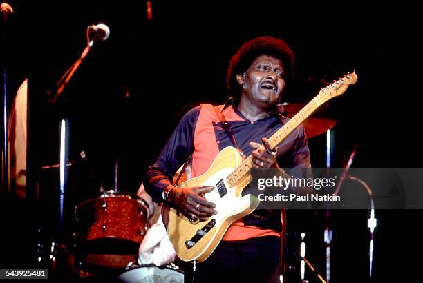 American blues musician Albert Collins performs at the Park West auditorium, Chicago, Illinois, February 10, 1986.