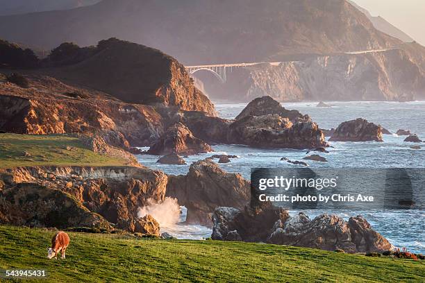 rocky creek bridge from hwy 1 - big sur,ca - carmel california photos et images de collection