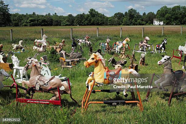 Nearly fifty abandoned children's rocking horses in a field on June 30, 2016 in Lincoln, Massachusetts. An initial pair of rocking horses were left...