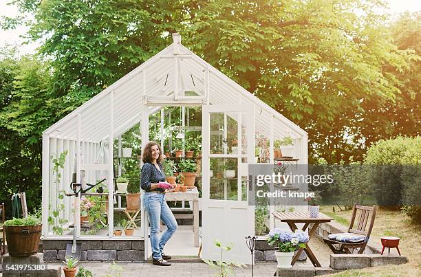 donna bellissima giardinaggio con sua serra - greenhouse foto e immagini stock