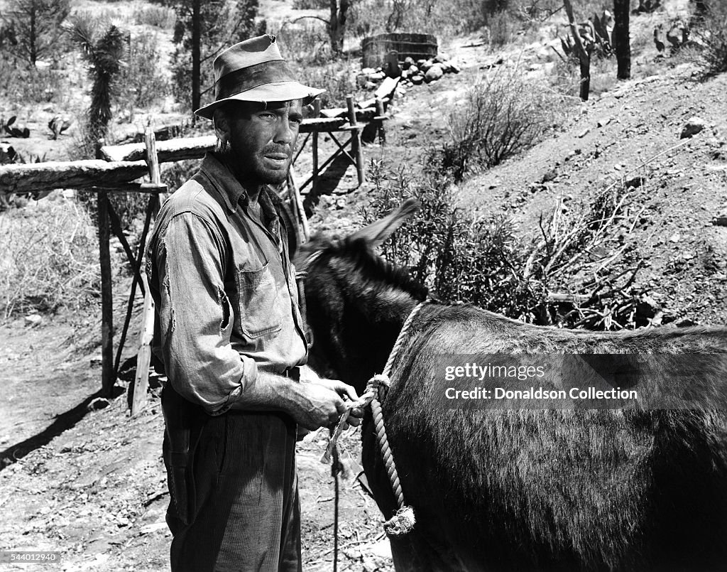 The Treasure Of The Sierra Madre