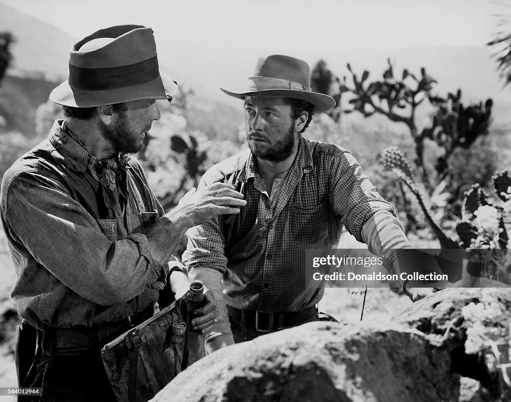 The Treasure Of The Sierra Madre
