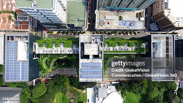 park royal singapore - rooftop garden stock pictures, royalty-free photos & images