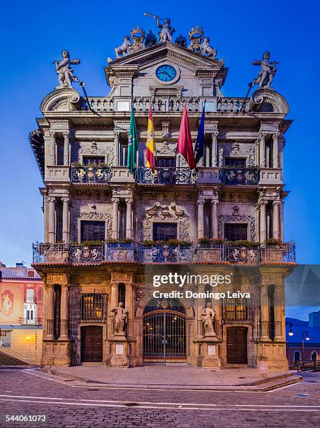 city hall of pamplona, spain - pamplona stock pictures, royalty-free photos & images