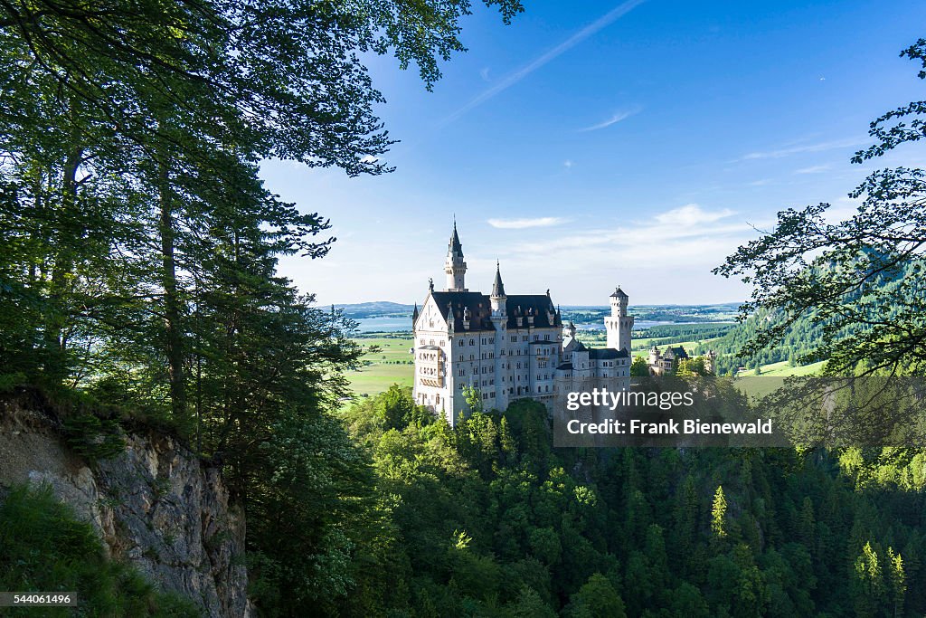 The castle Neuschwanstein seen through trees in the last...