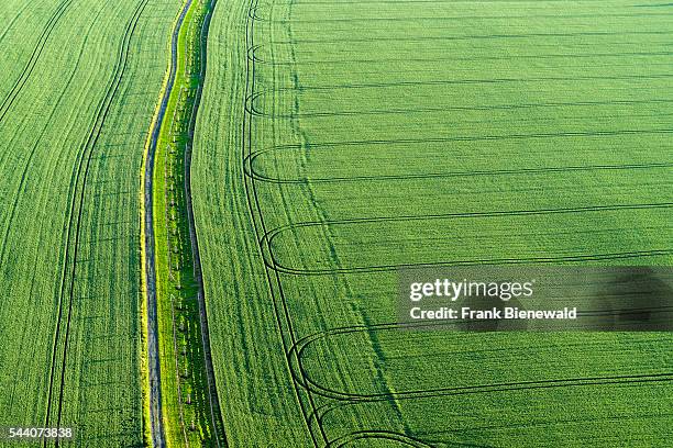 Footpath and the tracks of a tractor on a green field.