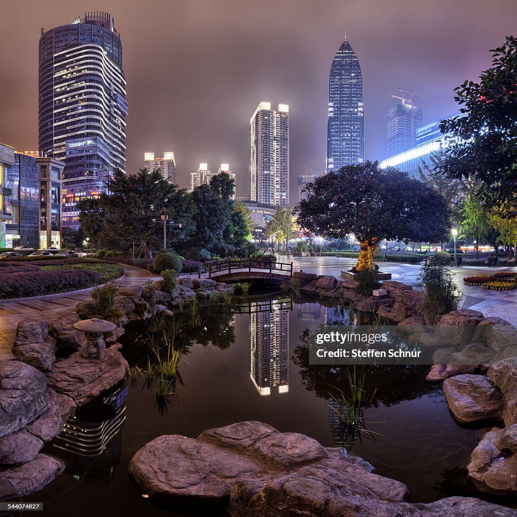 Nature and big city skyline city center