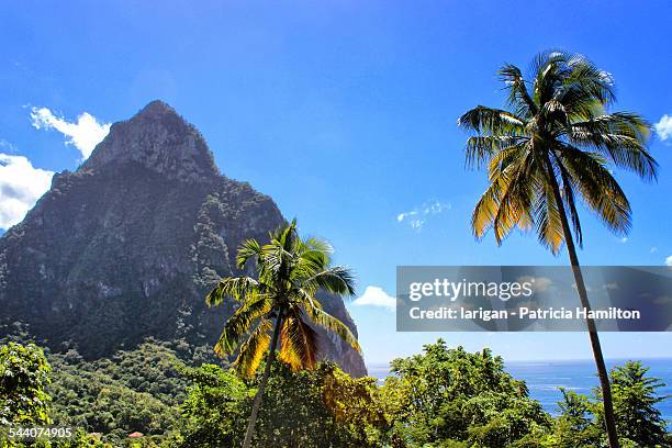 petit piton, st lucia - sankta lucia 2015 stock pictures, royalty-free photos & images