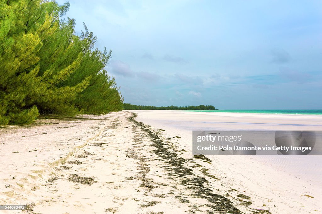 Bahami Beautiful Beach At Bahamas Caribbean Ocean And Idyllic Islands In A ...