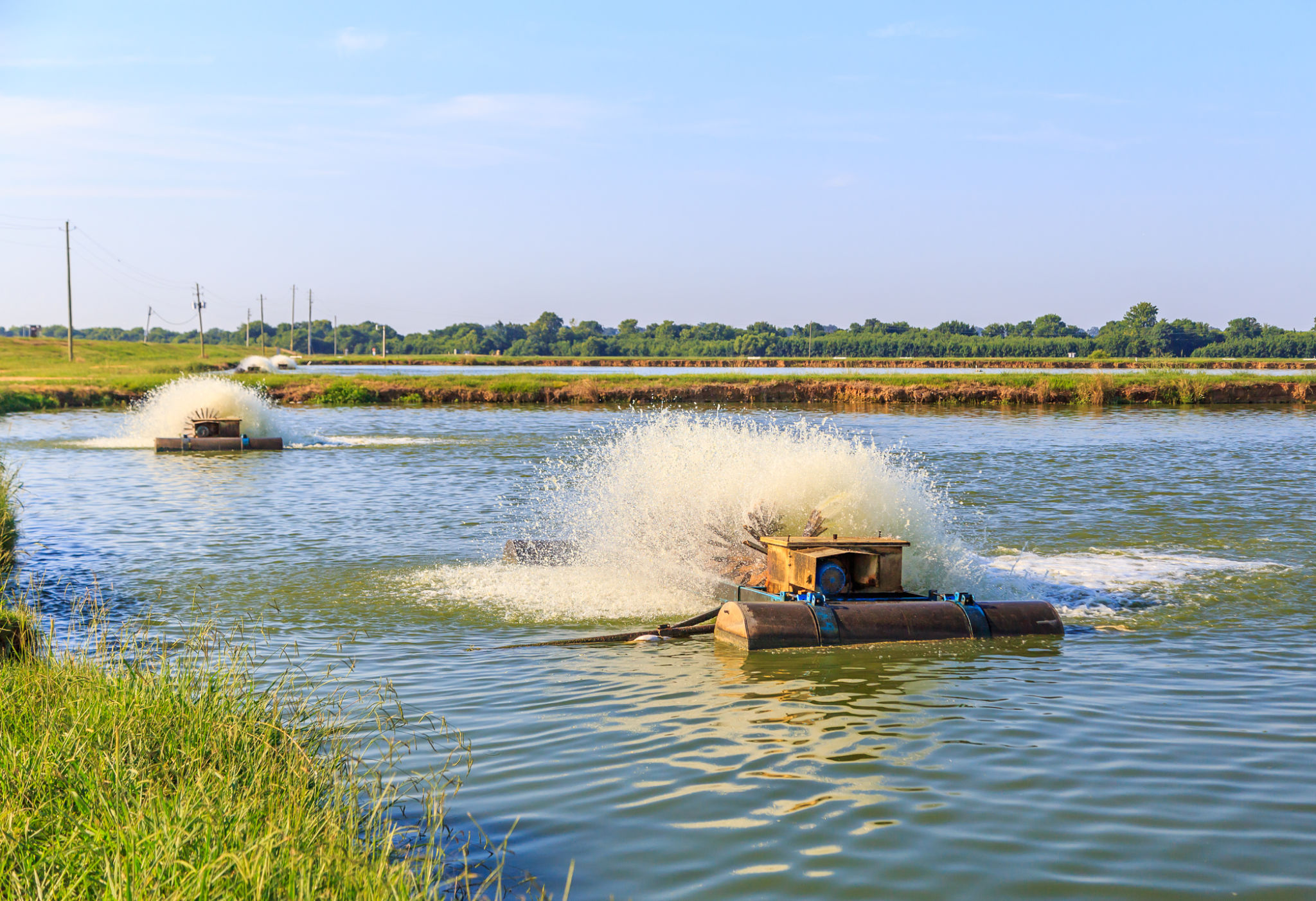 Electric Aerators on Catfish Farm Electric Aerators on Catfish Farm
