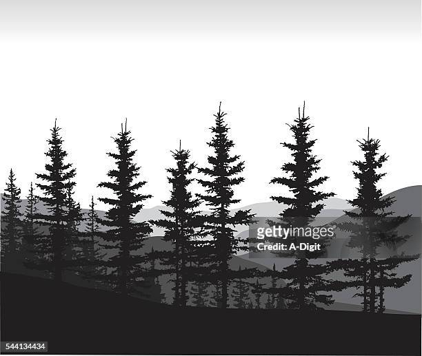 ilustrações, clipart, desenhos animados e ícones de calgary pines - treelined