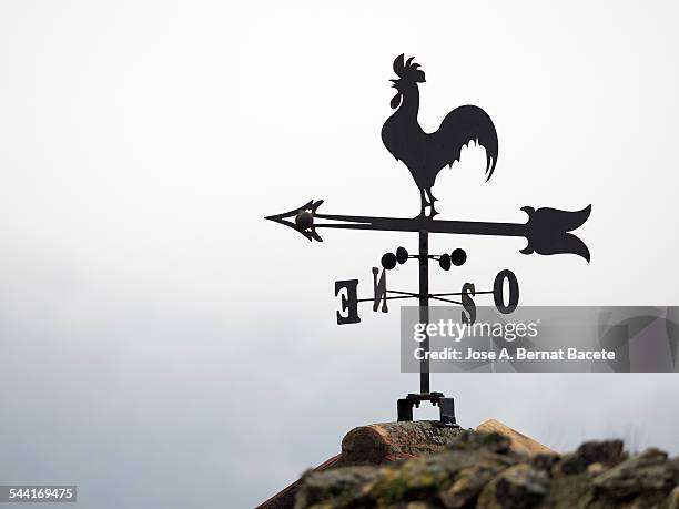 metallic vane with a form of hen - weather vane stock pictures, royalty-free photos & images