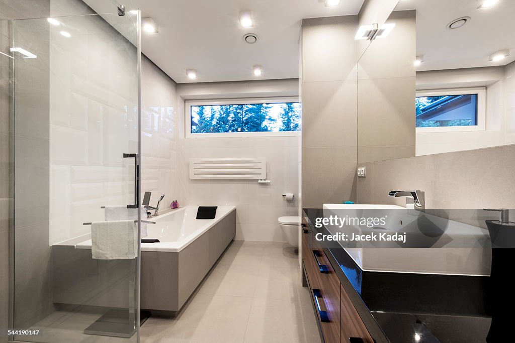 Modern luxury bathroom with bath