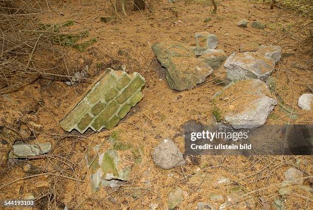 Deutschland, Brandenburg, Schorfheide : Bunkerreste auf dem ehemaligen Anwesen von Reichsfeldmarschall Hermann Göring, Carinhall.- November 2006