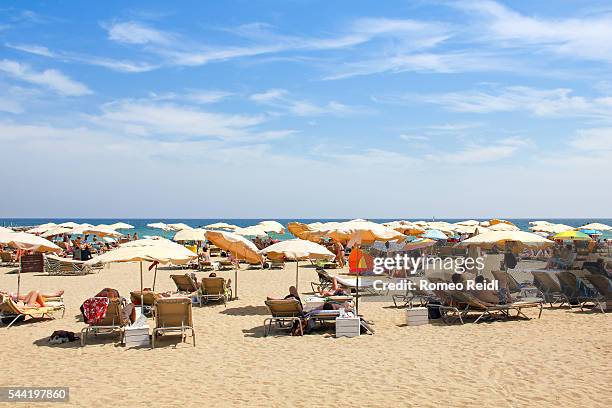 palm and parasols on the beach of barcelona, spain 2 - beach sunbathing spain fotografías e imágenes de stock