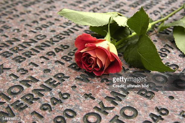 Halbe in Brandenburg: Kriegsopferfriedhof Kriegsgraeberstaette - Grabstein Gedenkstein Rose22 500 Tote der ca. 45 000 Toten der Kesselschlacht von...