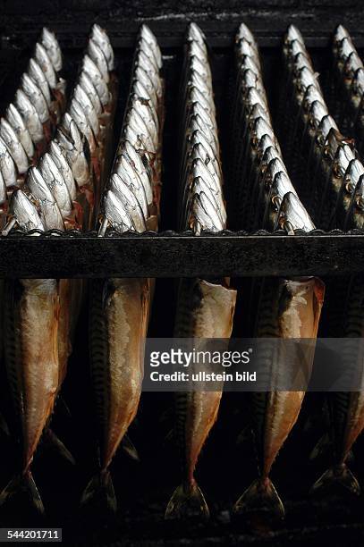 Räucherfisch in traditionellem Altonaer Ofen zum Räuchern aufgespiesst