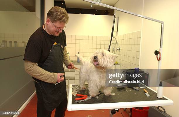 West Highland Terrier im Hundesalon "Sparks", einem Salon fuer Hunde von Udo Walz in der Uhlandstrasse in Berlin - Charlottenburg.