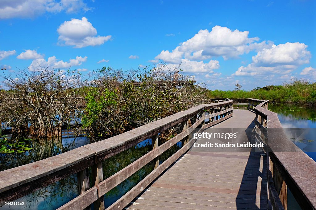Anhinga Trail Overlook