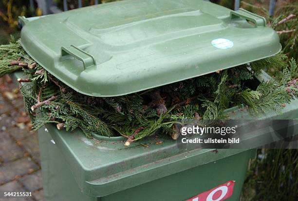 Deutschland, Tannengrün in einer Mülltonne für Bioabfall