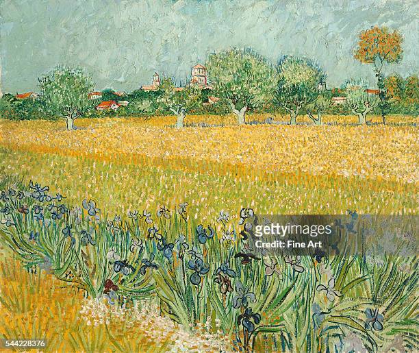 Vincent van Gogh , Field with Irises near Arles, 1888. Oil on canvas, 65 x 54 cm . Van Gogh Museum, Amsterdam, Netherlands. | Location: near Arles,...