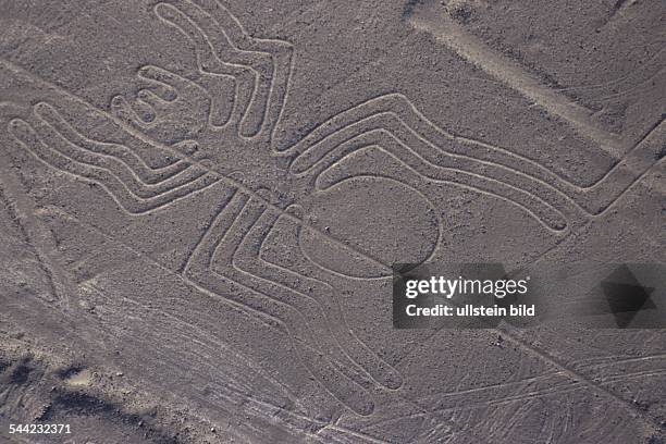 Peru, Nasca: Geoglyphe in der Wueste von Nasca, eine Spinne darstellend.