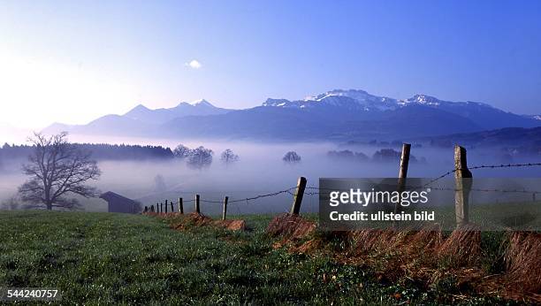 Deutschland, Bayern Chiemgau - Viehweide am frühen Morgen, im Hintergund die Bayrischen Alpen - 2004