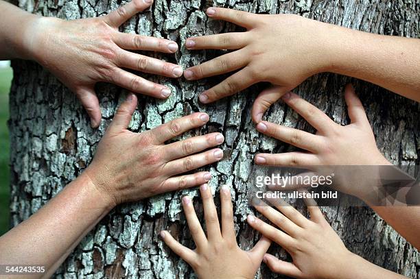 Symbolbild Zusammenhalten, Familie, Team, Haende an einem Baumstamm
