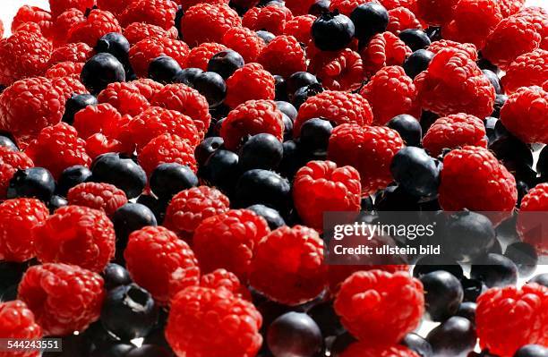 Blaubeeren und Himbeeren - 2004