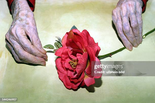 Deutschland: Hände einer alten Frau halten eine Papierrose- 19..06.2005