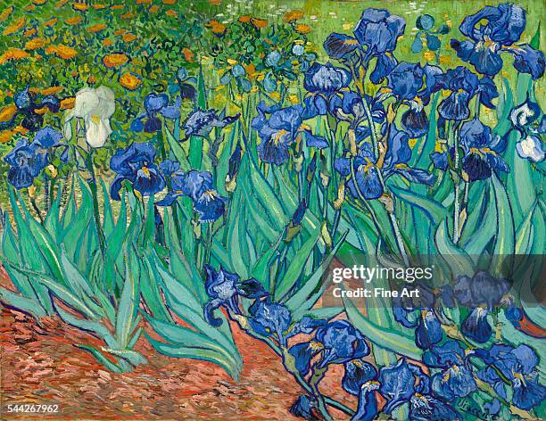 Vincent van Gogh , Irises oil on canvas, 71.1 x 93 cm , The J. Paul Getty Museum, Malibu, California