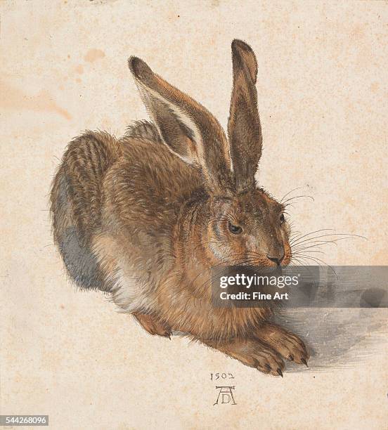 Albrecht Dürer , Hare watercolor and gouache, Albertina Museum, Vienna, Austria