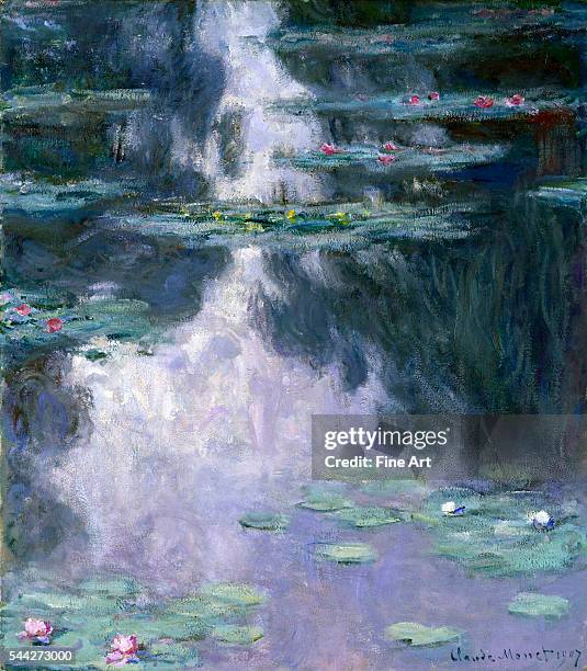 Claude Monet , Water Lilies oil on canvas, 91.4 x 81.1 cm , Museum of Fine Arts, Houston