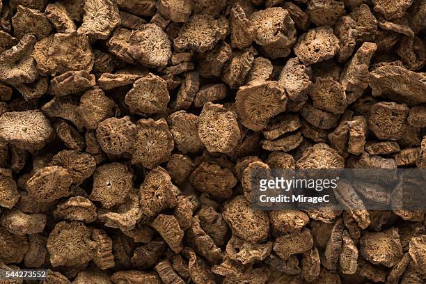 arctium lappa (greater burdock) root dry slices full-frame view - greater burdock stock pictures, royalty-free photos & images