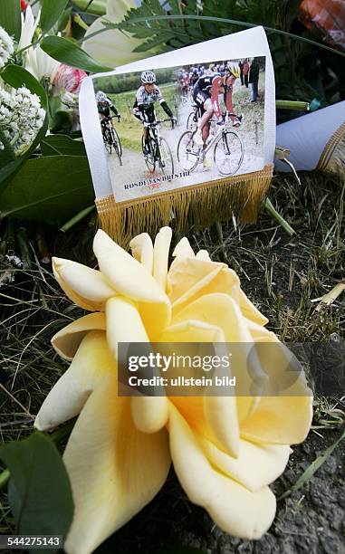 Radrennen; Thüringen-Rundfahrt;Ein Foto, das die getoetete australische Sportlerin Amy Gillett zeigt, liegt hinter einer Rose an der Unfallstelle, wo...