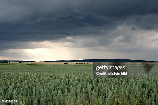 Wetter, Gewitter, Gewitterwolken ueber einer Landschaft