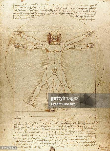 Leonardo da Vinci , Vitruvian Man , c. 1490, pen and ink with wash over metalpoint on paper, 34.4 × 25.5 cm , Gallerie dell'Accademia in Venice.